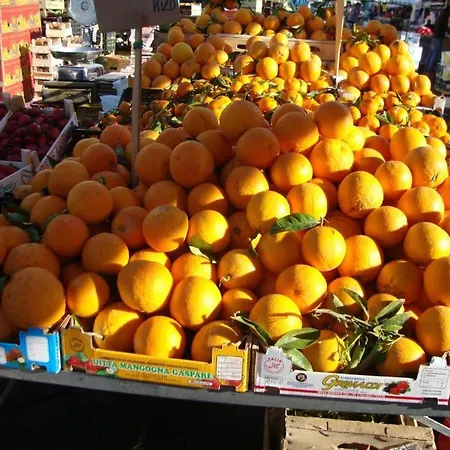 Venera Charme * فونتاني بيانكي